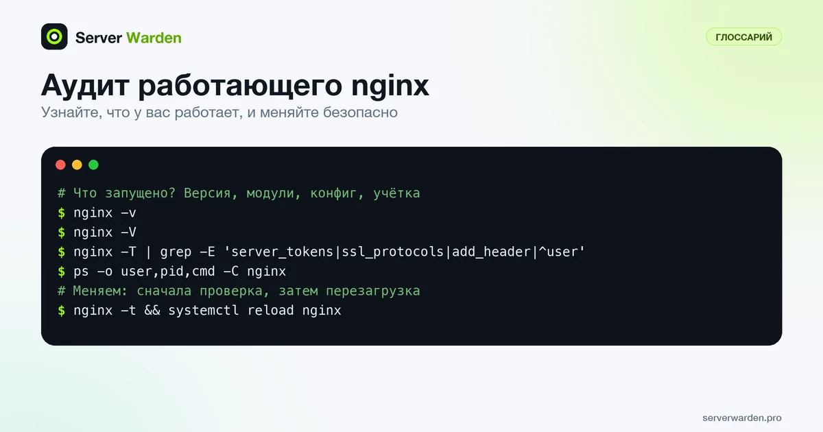 Терминал с командами nginx: версия, модули, конфигурация и учётная запись рабочих процессов, затем безопасная перезагрузка
